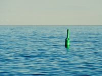 A bright green buoy bobs at an angle on a calm lake just before sunset.