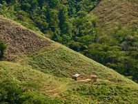 Landscape photo of the steep, green hills where coffee is grown. Two small buildings can be seen perched on the hillside.