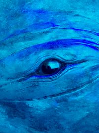 Close-up of the eye of a whale sculpture. A single shiny black eye is center frame surrounded by bright blue 'skin', wrinkles and all.