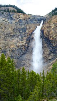 A full height photo to a waterfall tumbling down a black and brown rock face behind evergreen trees in the foreground.