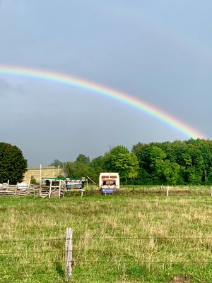 A rusty, abandoned truck in a farmer's field is framed overhead by a wide, crisp rainbow.