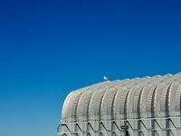 A bright blue sky dominates a view of a steel roof with 1 seagull perched on its edge.