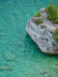 Looking down at a granite boulder sitting in crystal clear blue-green water. The tropical look of the lake contrasts with the pine trees perched atop the rock.