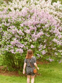 A woman walks downhill away from the camera towards a tall lilac tree in full bloom.