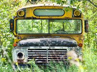 Front view of an old yellow school bus found abandoned and surrounded by grass, bushes, and trees.