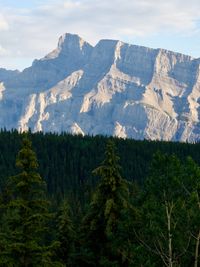 Evergreen trees blanket the foreground leading the eye to a grey rocky mountain face that looms in the distance covered in shadows as the sun is going down.