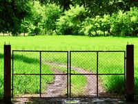 Silhouette of a metal gate in front of a bright green meadow lit by the sun.