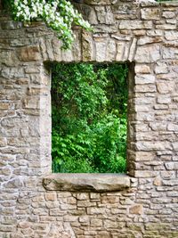 An orthogonal view of an old stone wall framing the forest behind, as seen through the window opening in center frame.