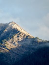 A rocky mountain slope glows in the golden hour sunlight as wisps of cloud pass over the ridgeline dotted with evergreen trees.
