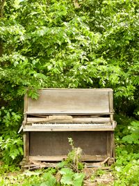 A dirsty, broken upright piano sits abandoned in the forest surrounded by green foliage.