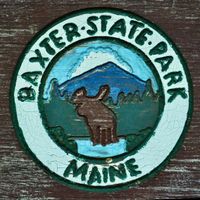 Close-up of the rustic carved logo of Baxter State Park. The crude figure of a moose is centre frame.