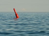 A bright green buoy bobs at an angle on a calm lake just before sunset.