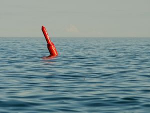 A bright green buoy bobs at an angle on a calm lake just before sunset.