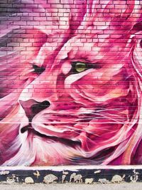 Back alley graffiti depicting a realistic lion's face and mane in bright pink.