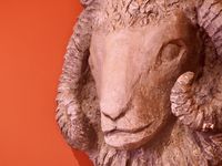 A close-up shot of a carved or sculpted ram's head looking down from a bright orange wall.