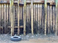 A weathered pier, the ocean floor, and a lone tire are exposed at low tide.